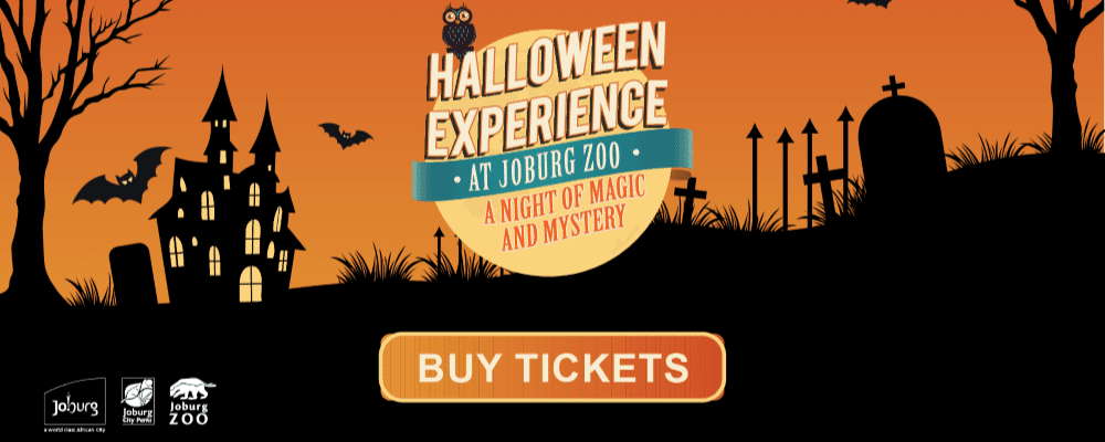 Halloween Experience At Johannesburg Zoo