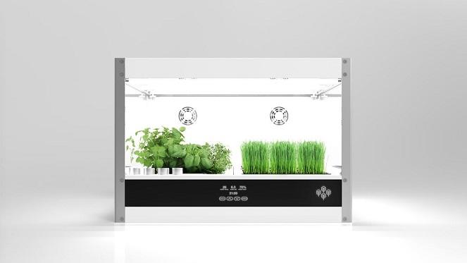 A Tabletop Hydroponics System For Your Kitchen