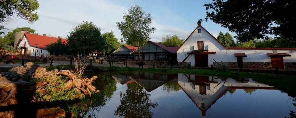 Festive Getaway Promotions At Irene Country Hotel