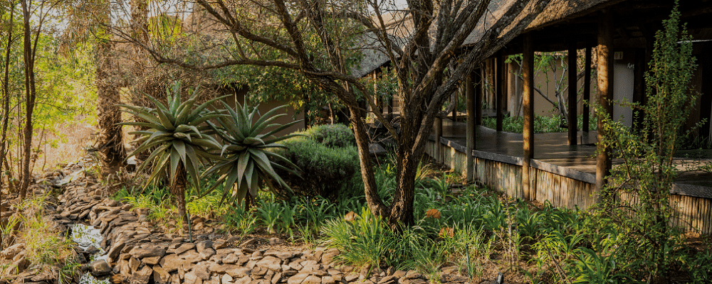 Indulge In The Serenity of Mowana Spa – Perfect for Mother's Day