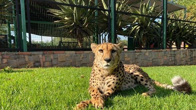 Explore Lory Park Animal & Owl Sanctuary