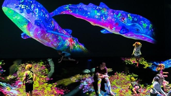 Magical Sea And The Wonderland