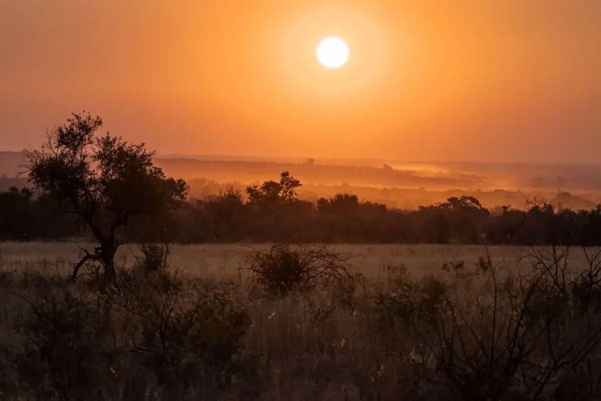 Best Game Reserves for Big Five Safaris and Bush Getaways