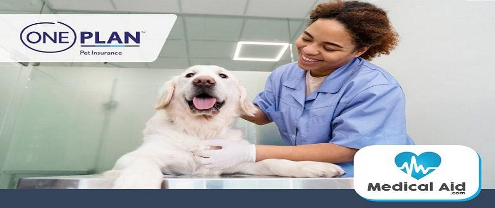 What Does Pet Insurance Cover?