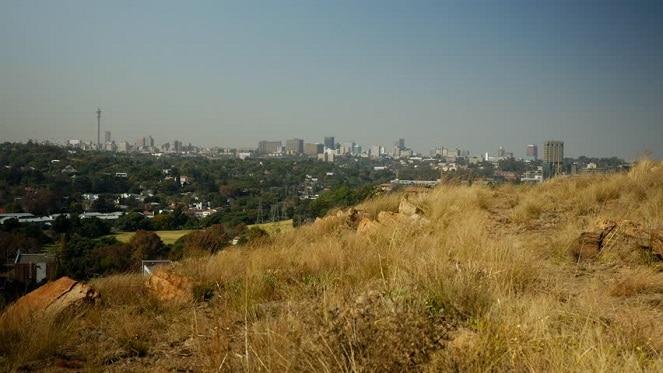 Explore the Melville Koppies Nature Reserve