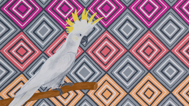 Confined 11 Virtual Experience