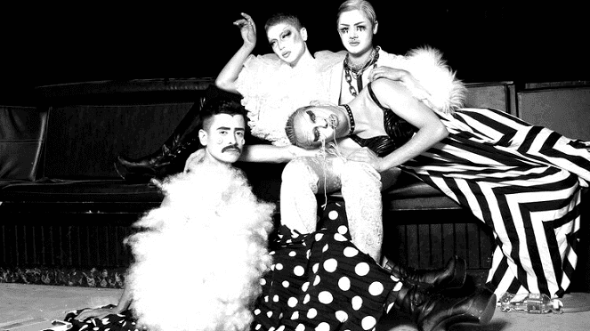 The Darlings: Quarantine II