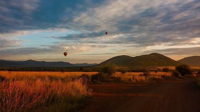 Visit Pilanesberg National Park & Game Reserve