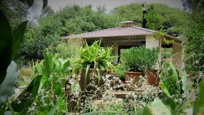 Visit Random Harvest Indigenous Plant Nursery In Level 3 Lockdown