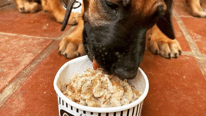 Raw Food For Pets