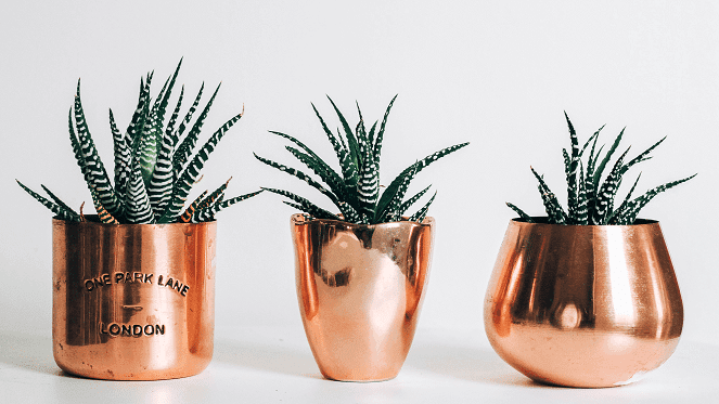 Why Rose Gold, Bronze And Copper Are Must-Haves