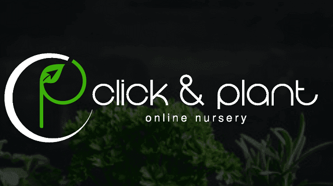 Click & Plant Garden Nursery