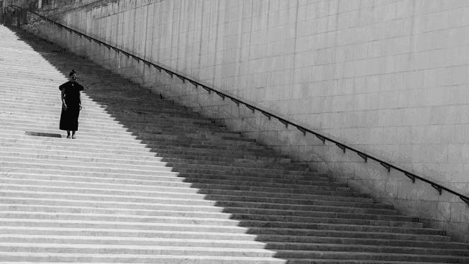 Howling Hound Photography