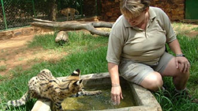 Rediscover nature at Hartbeespoort Dam Snake & Animal Park