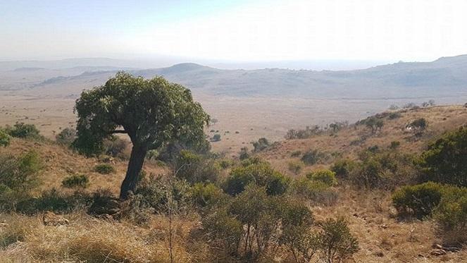 #WeTry - Hiking at Suikerbosrand Nature Reserve