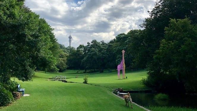 Discover The Wilds: Joburg’s Hidden Green Gem of Art, Nature and Serenity