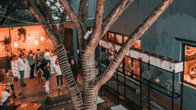 Dandelion Cocktail Bar For The Drinks Lovers