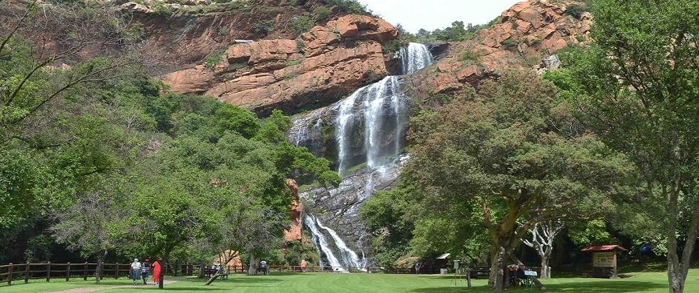 Unforgettable Spring Adventures in Gauteng with Sandton Taxi Cabs!