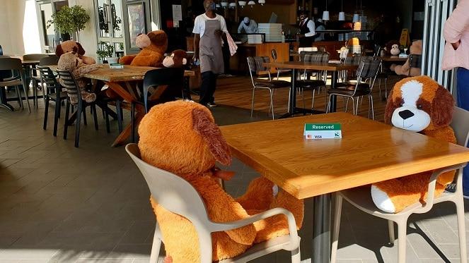 The Social Distancing Teddy Bears Of Piza E Vino