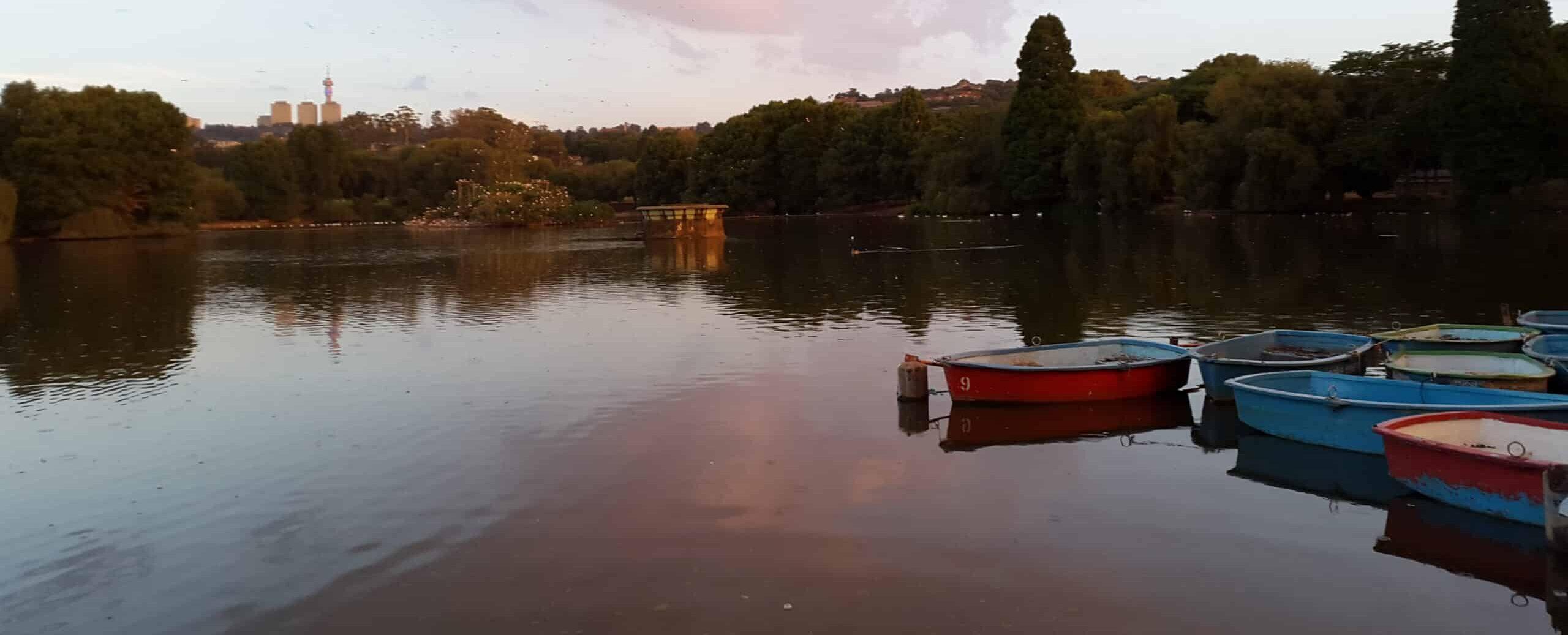 Zoo Lake: Nature, Culture & Weekend Magic