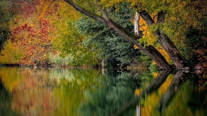 Top Ways To Embrace Autumn In Joburg