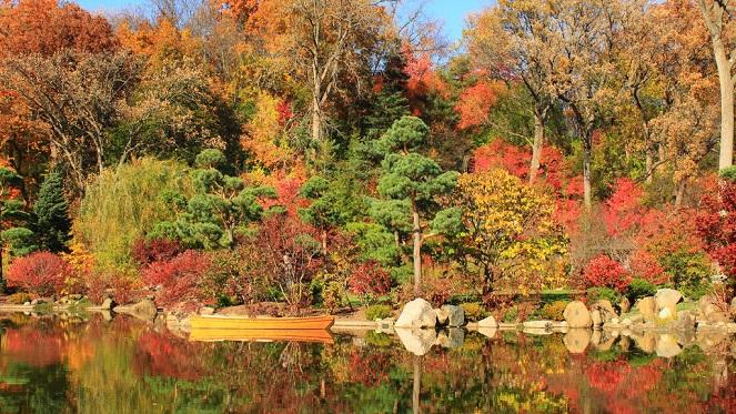 CANCELLED: The Autumn Garden Show 2020