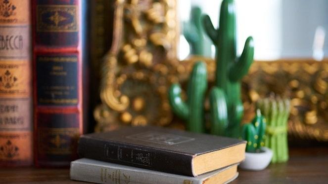 Where To Find Classic Novels In Johannesburg