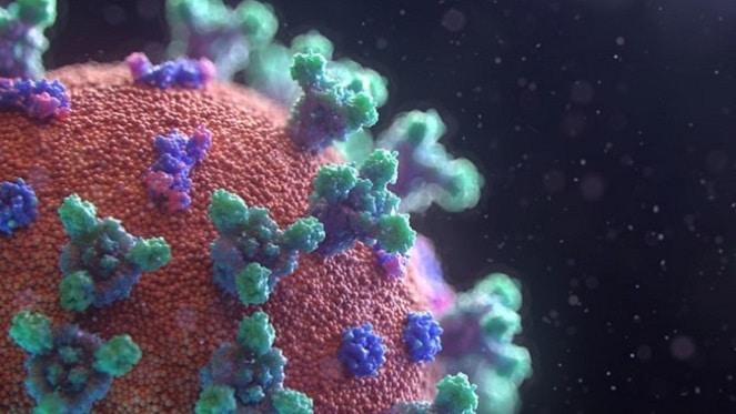 COVID-19 Myths Busted