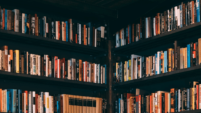 Bookworm Haven At Estoril Books