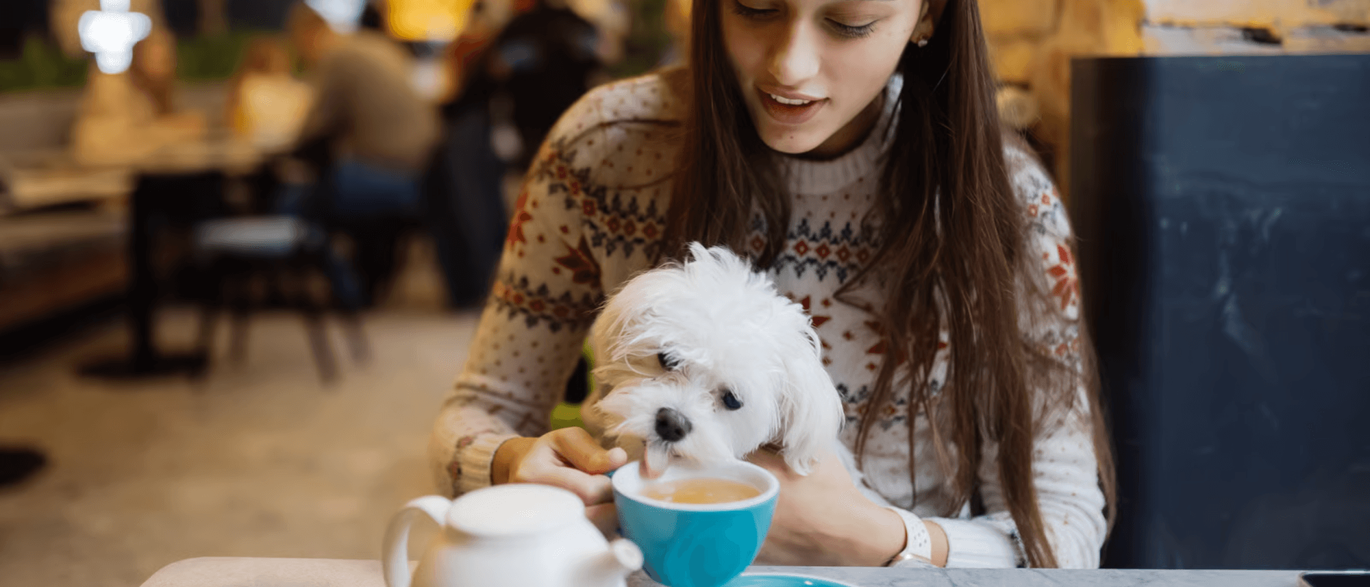 Pet-Friendly Cafés & Restaurants to Visit in Joburg