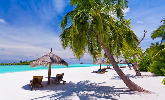 Amazing Interior Design For Your Little Shnookums