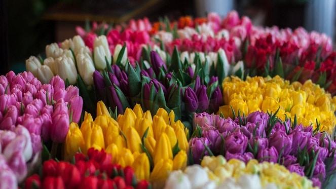 Multiflora Flower Market: The Best Place To Get All Your Beautiful Blooms