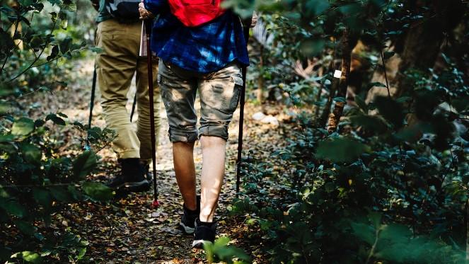 Free Hiking Spots Around The City