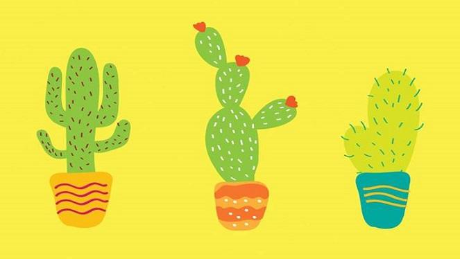 Friday Fiesta At Sir James van der Merwe