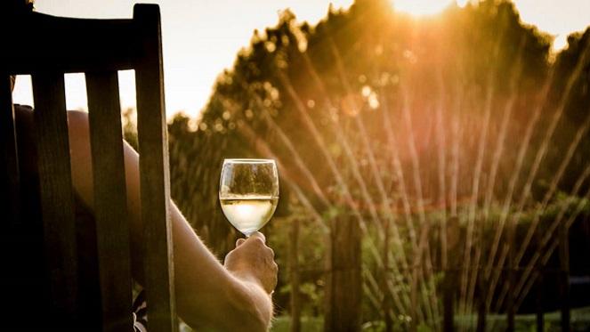 Stay Entertained: Go Outside And Enjoy Your Garden