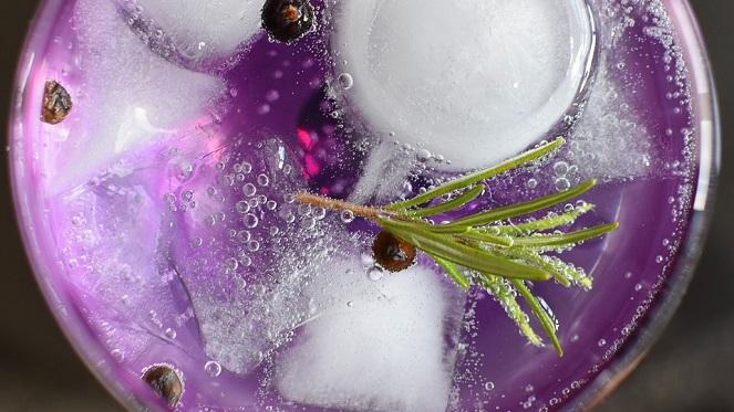 Gin Tasting @ Time Anchor Distillery