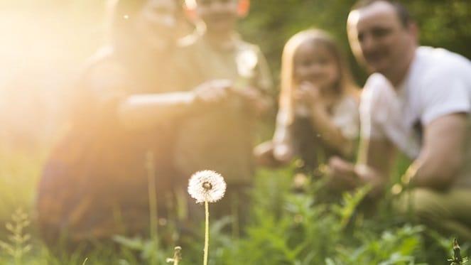 Entertainment In Fourways