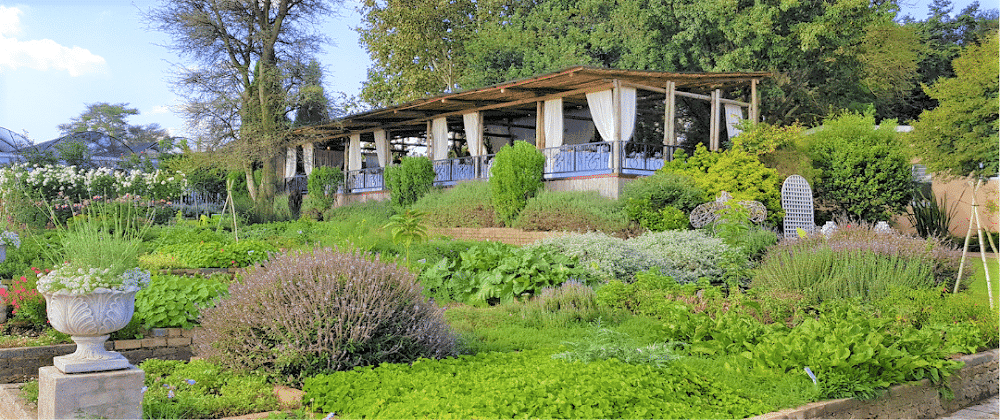 Herb Land In Midrand: A Family-Friendly Oasis