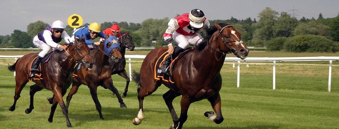 Cheltenham Festival – History, Winners, Schedule, Facts