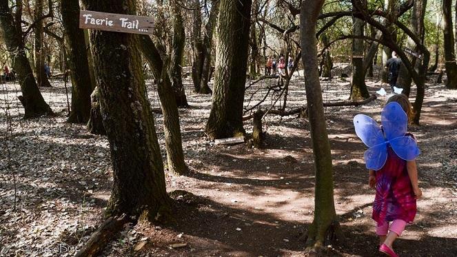 The Winter Folk Market: Frozen Winter Festival