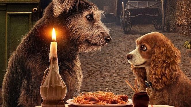 Speed Dating With Dogs