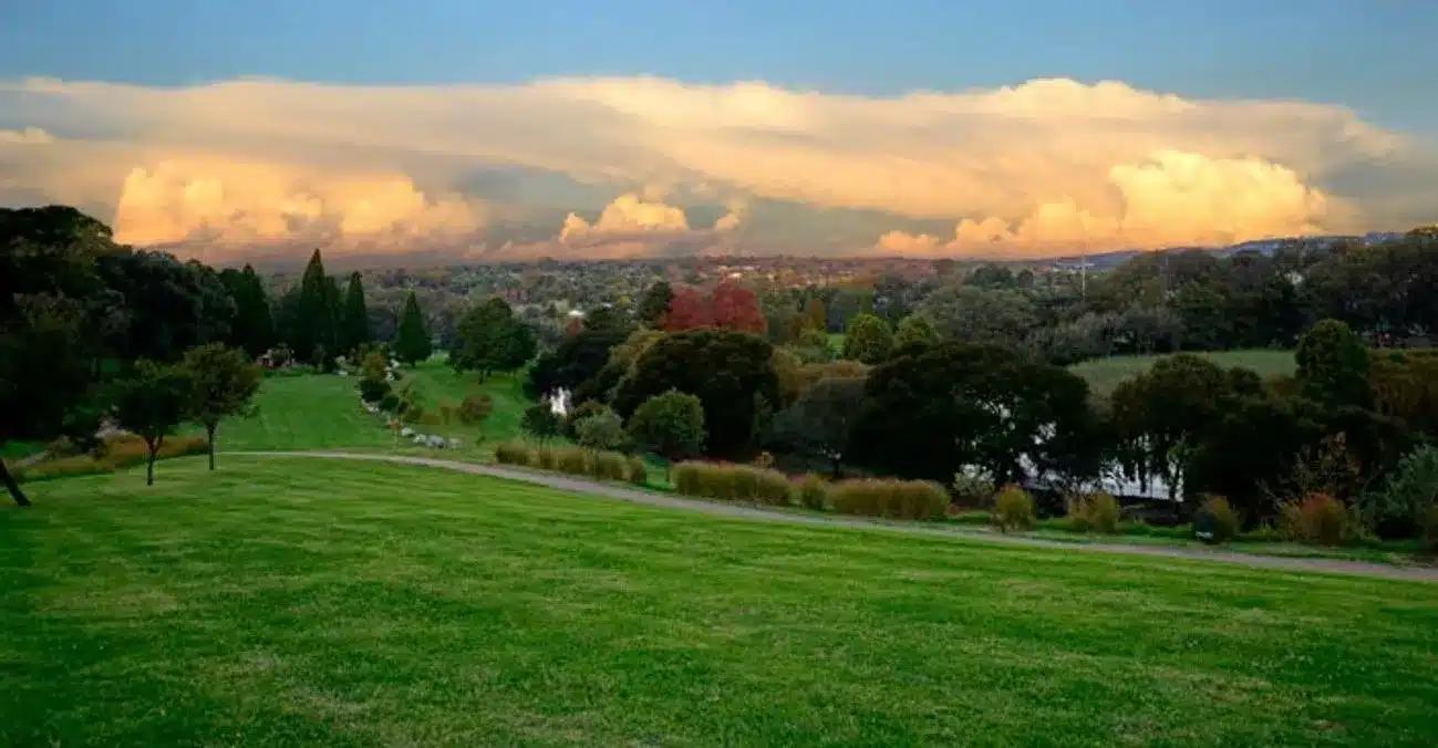 James and Ethel Gray Park: A Serene Escape in the Heart of Johannesburg