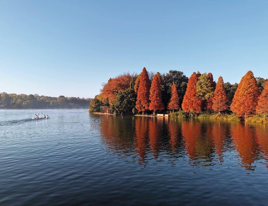 Emmarentia Dam: Johannesburg’s Hidden Oasis