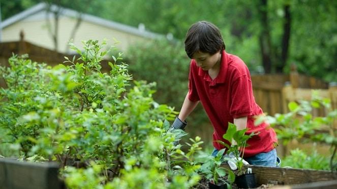 Life Skills To Teach The Kids During Lockdown