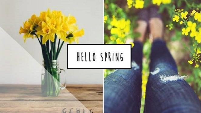 Market In The Park Spring Edition At The Johannesburg Botanical Gardens