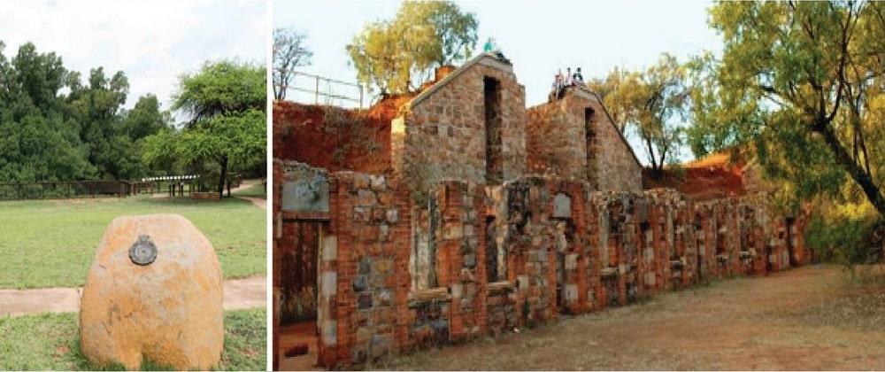 Exploring Nature & History At Wonderboom Nature Reserve