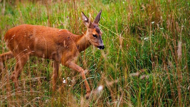 Nature Reserves In And Around Joburg
