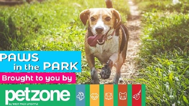 PetZone Paws in the Park