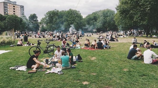 Music Under The Trees At Northcliff Country Club