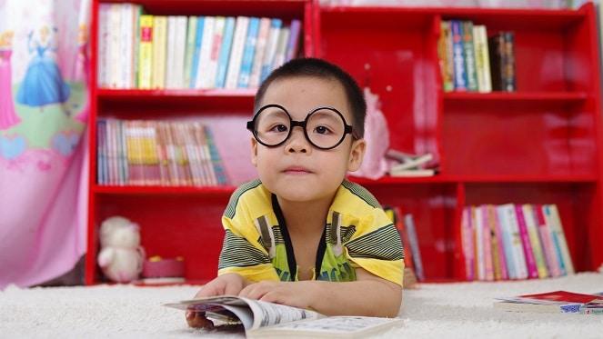 CANCELLED: Ecology Of The City